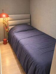 Cuscaden Reserve (D10), Condominium #626136381